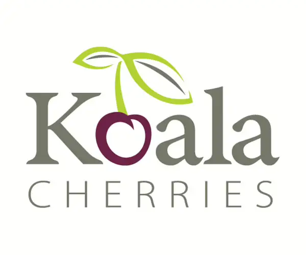 Koala-Cherries