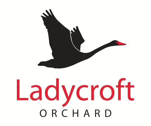 Ladycroft-1