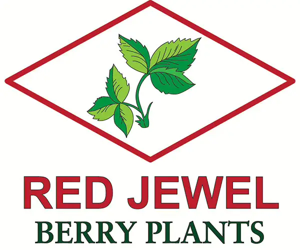 Red-Jewel