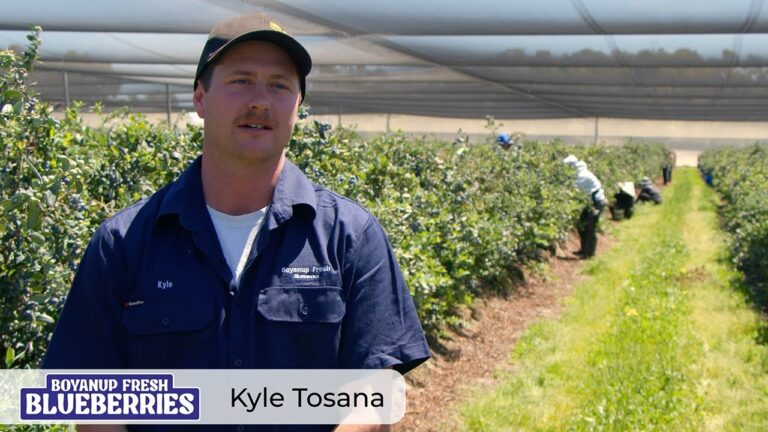Boyanup Fresh Blueberries is positive about working with ABCGrower & ABCSpray