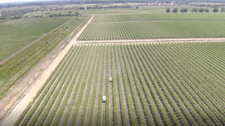 Spray-Fruitico-in-field-2
