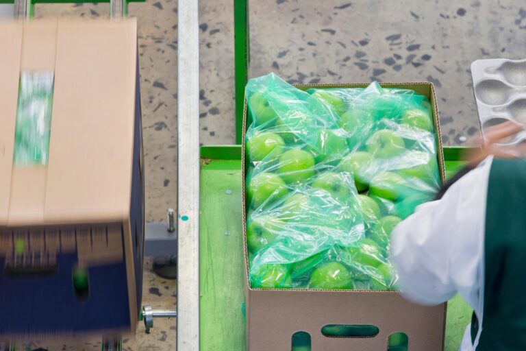 workers-packing-apples-into-boxes-in-fruit-process-2026-03-26-08-07-09-utc